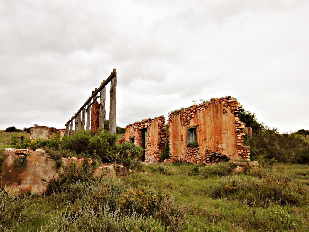 Hlosi Game Lodge - Amakhala Game Reserve Buyskloof Εξωτερικό φωτογραφία