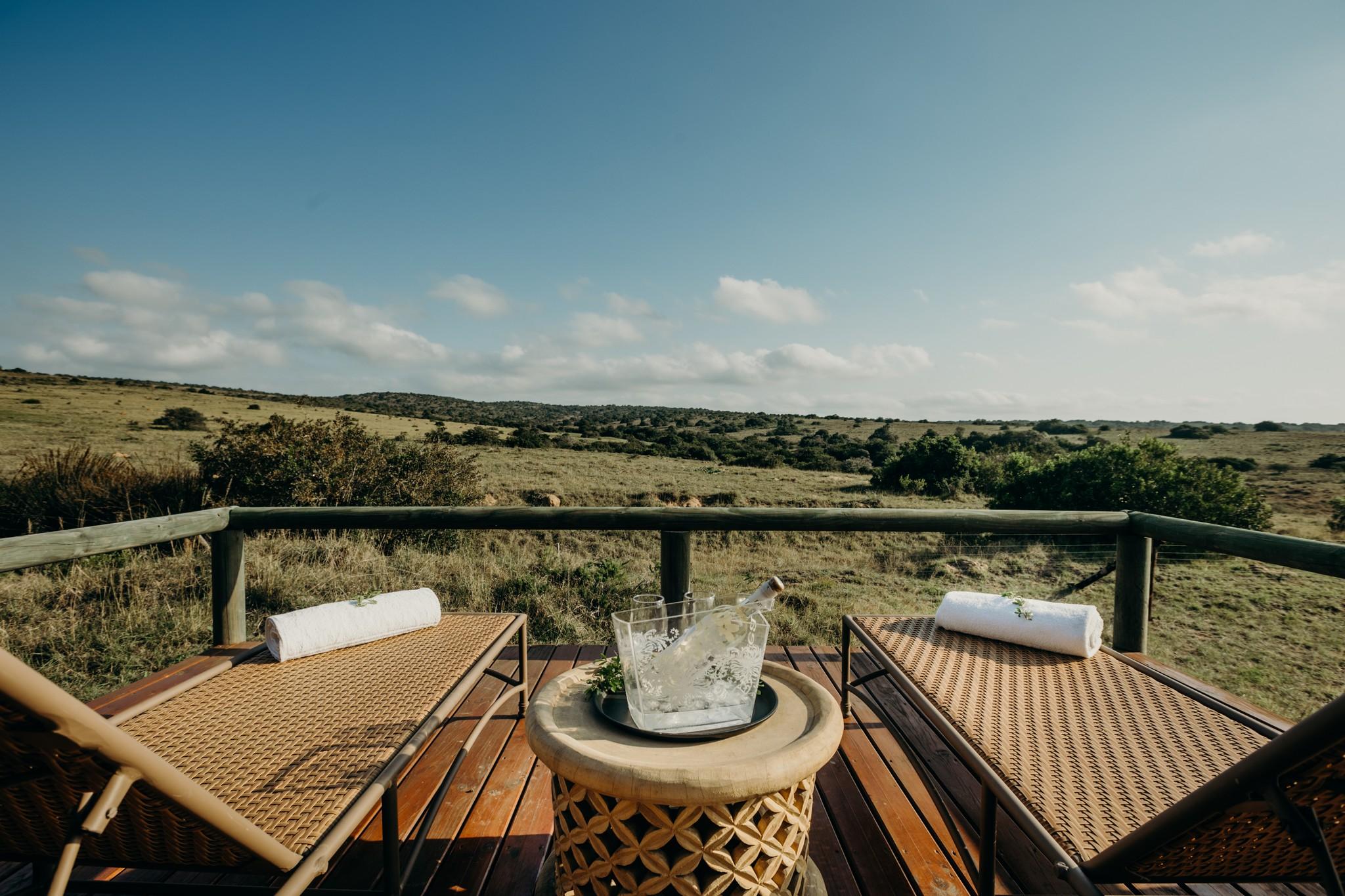 Hlosi Game Lodge - Amakhala Game Reserve Buyskloof Εξωτερικό φωτογραφία