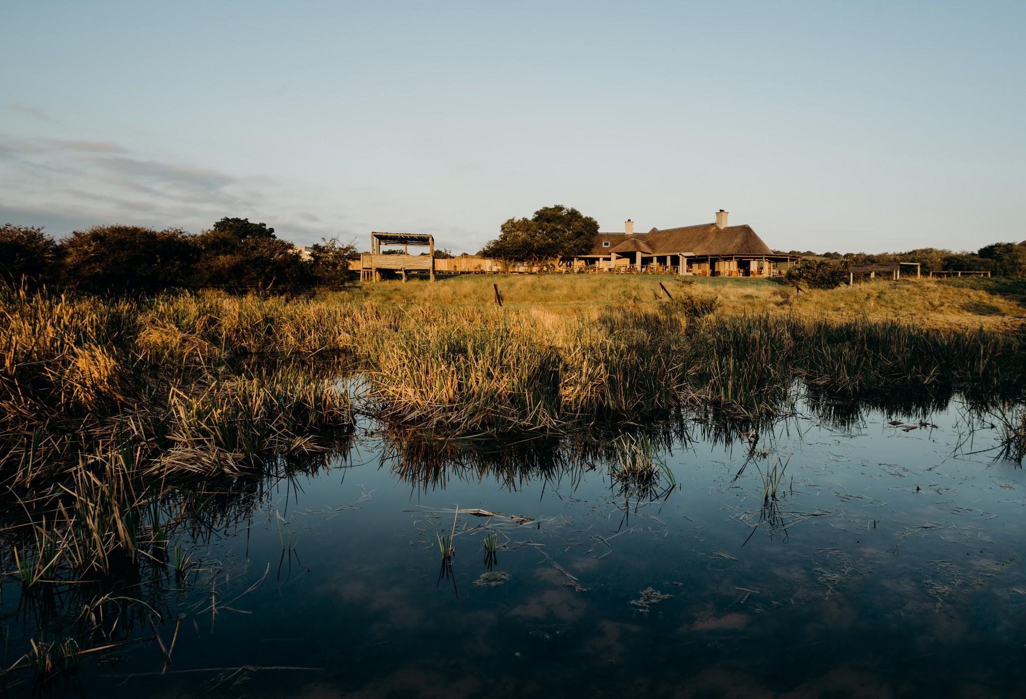 Hlosi Game Lodge - Amakhala Game Reserve Buyskloof Εξωτερικό φωτογραφία