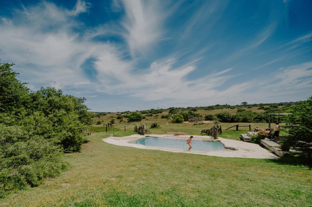 Hlosi Game Lodge - Amakhala Game Reserve Buyskloof Εξωτερικό φωτογραφία