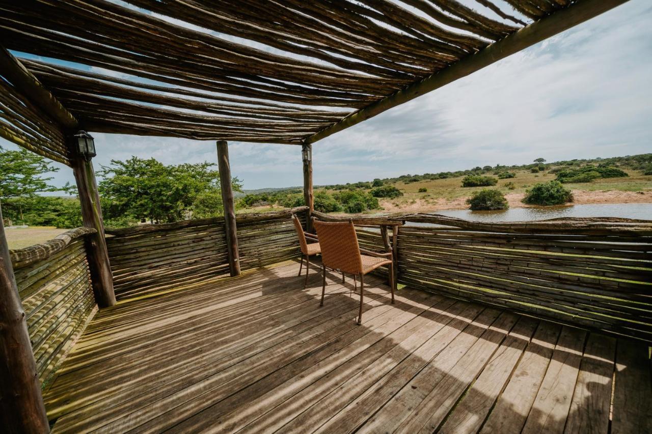 Hlosi Game Lodge - Amakhala Game Reserve Buyskloof Εξωτερικό φωτογραφία