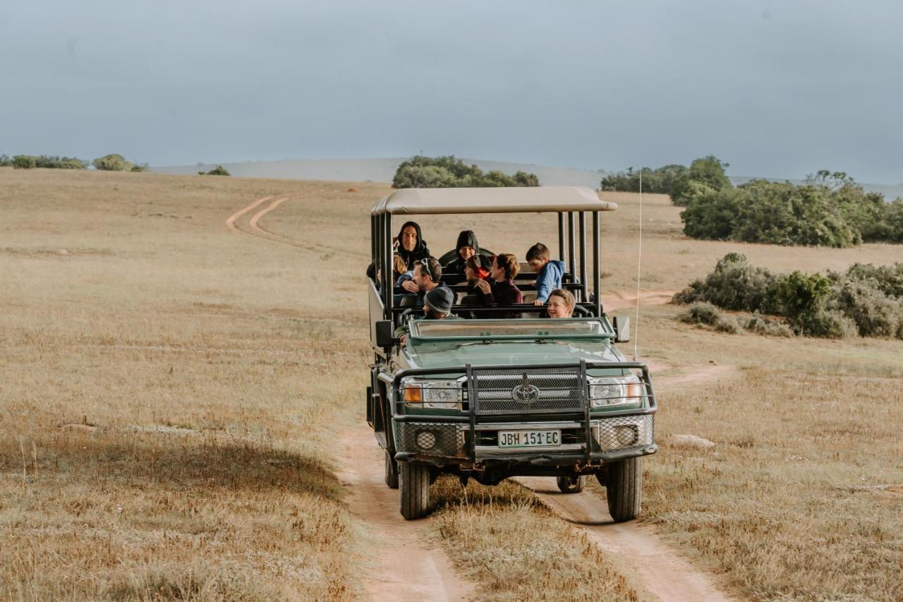 Hlosi Game Lodge - Amakhala Game Reserve Buyskloof Εξωτερικό φωτογραφία