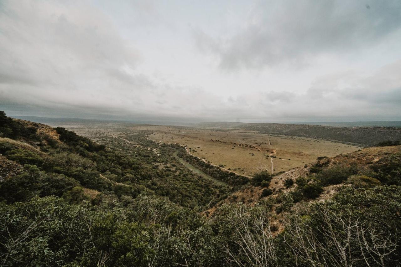 Hlosi Game Lodge - Amakhala Game Reserve Buyskloof Εξωτερικό φωτογραφία