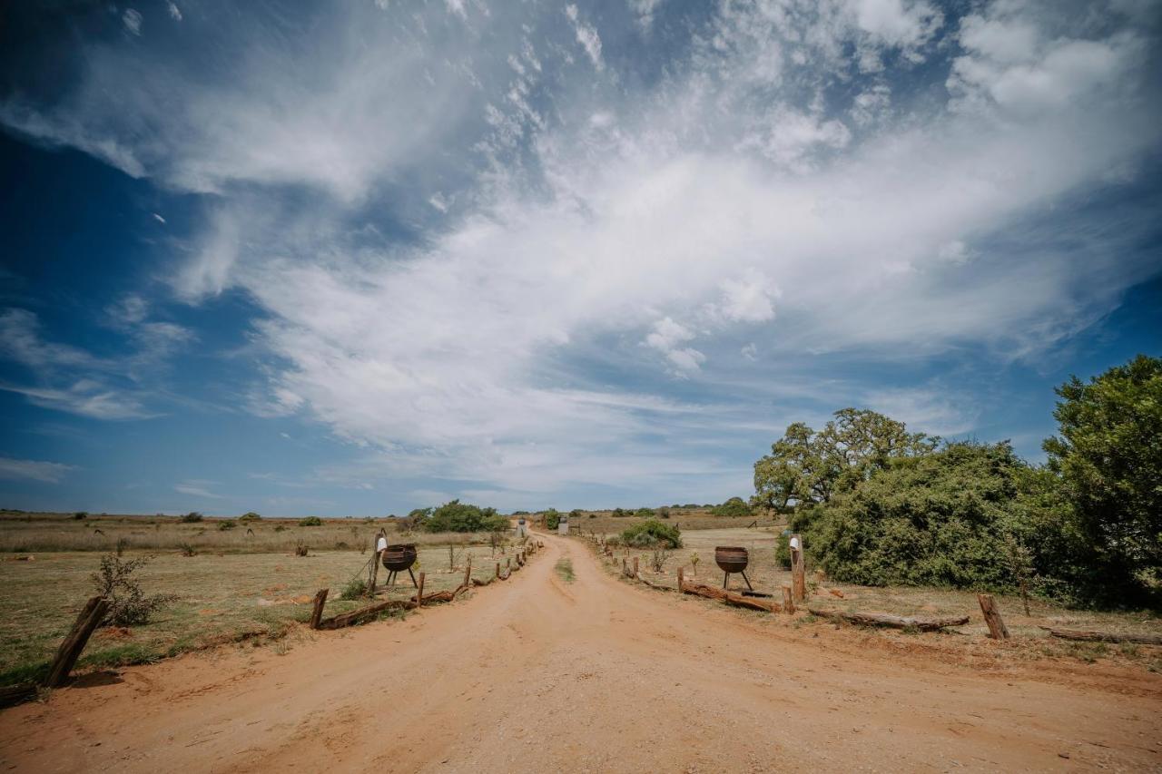 Hlosi Game Lodge - Amakhala Game Reserve Buyskloof Εξωτερικό φωτογραφία