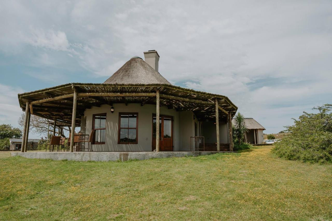 Hlosi Game Lodge - Amakhala Game Reserve Buyskloof Εξωτερικό φωτογραφία