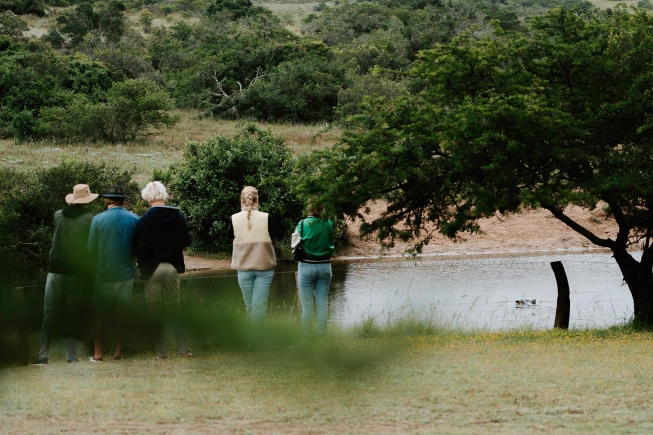 Hlosi Game Lodge - Amakhala Game Reserve Buyskloof Εξωτερικό φωτογραφία