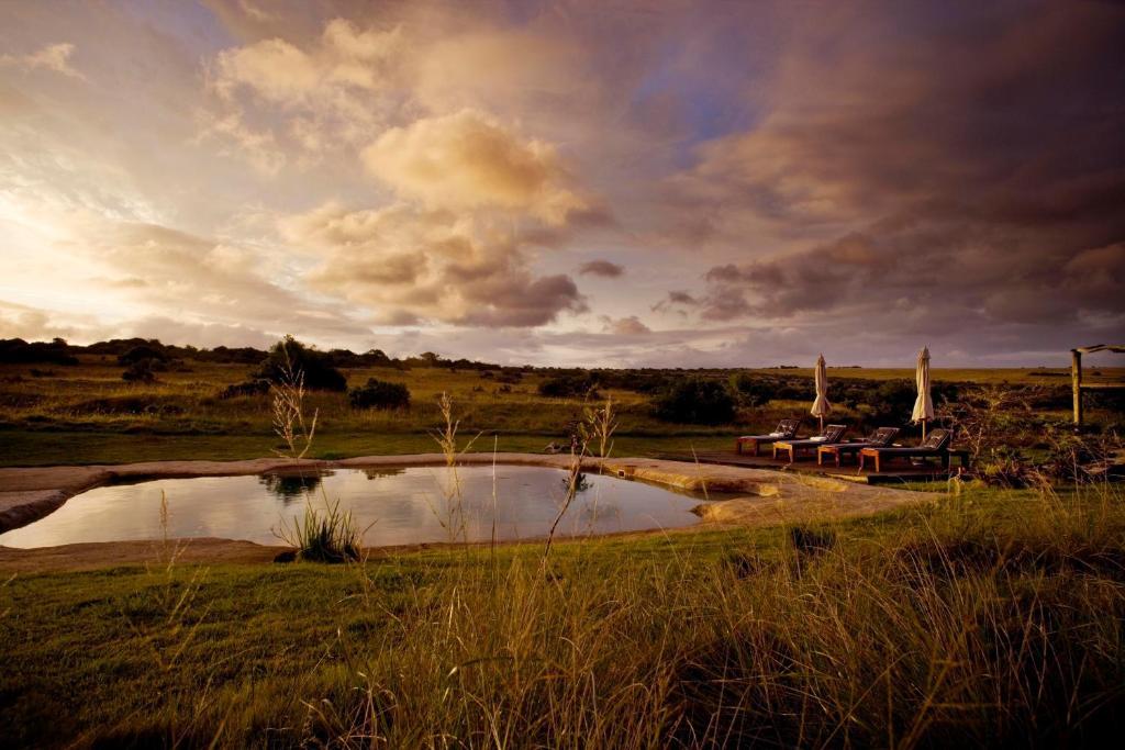 Hlosi Game Lodge - Amakhala Game Reserve Buyskloof Εξωτερικό φωτογραφία