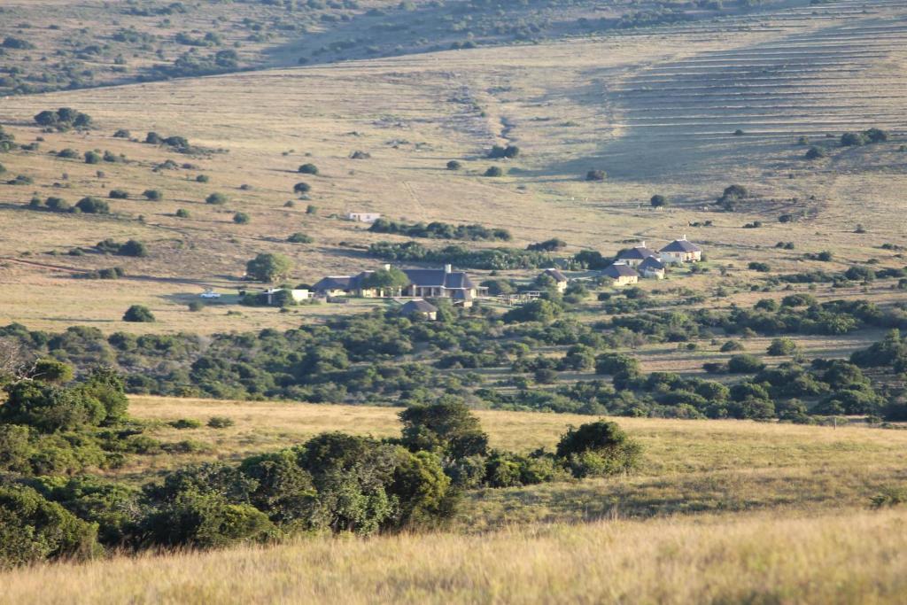 Hlosi Game Lodge - Amakhala Game Reserve Buyskloof Εξωτερικό φωτογραφία