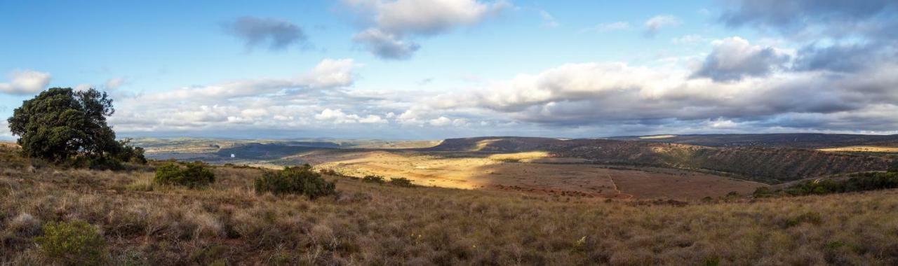 Hlosi Game Lodge - Amakhala Game Reserve Buyskloof Εξωτερικό φωτογραφία